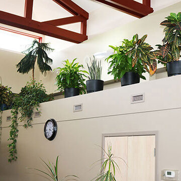 Office Lobby | White Oak Dental Clinic | Calgary AB