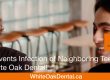 Root Canal Services SW Calgary | White Oak Dental Clinic | Calgary AB
