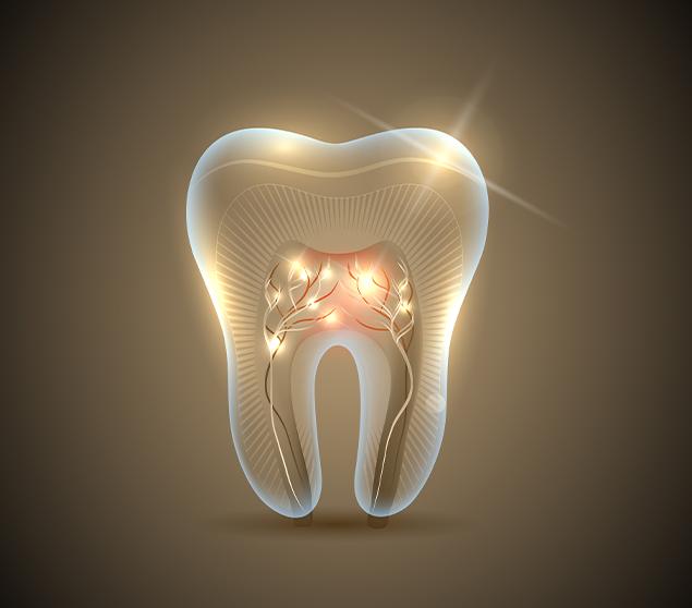 What to Expect During a Wisdom Teeth Evaluation | White Oak Dental | General Dentist | SE Calgary Clinic